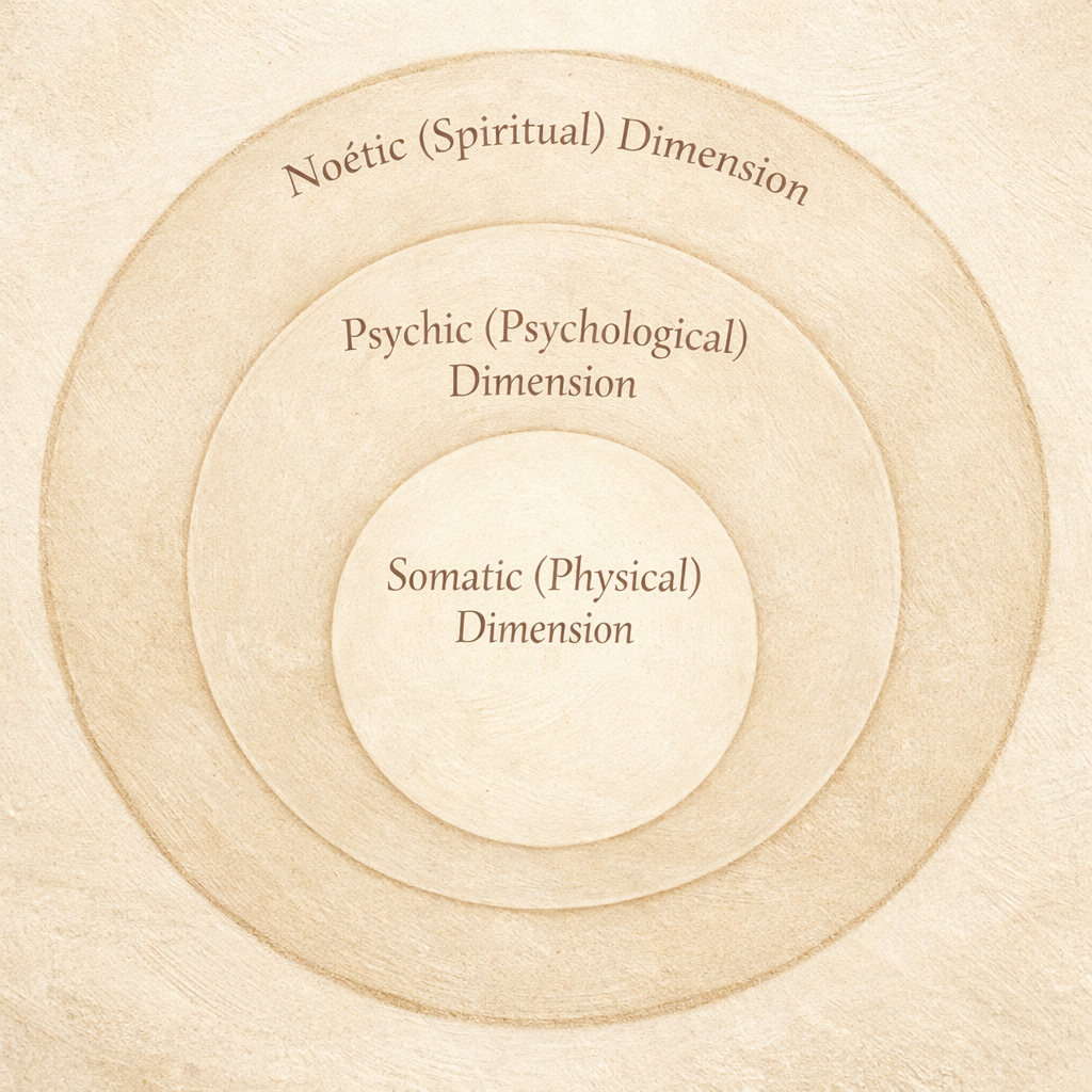Академічна бібліотека